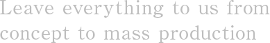 Leave everything to us from concept to mass production